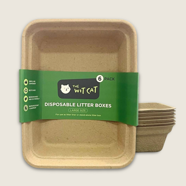 Are Cat Litter Boxes Recyclable: Essential Facts You Need to Know